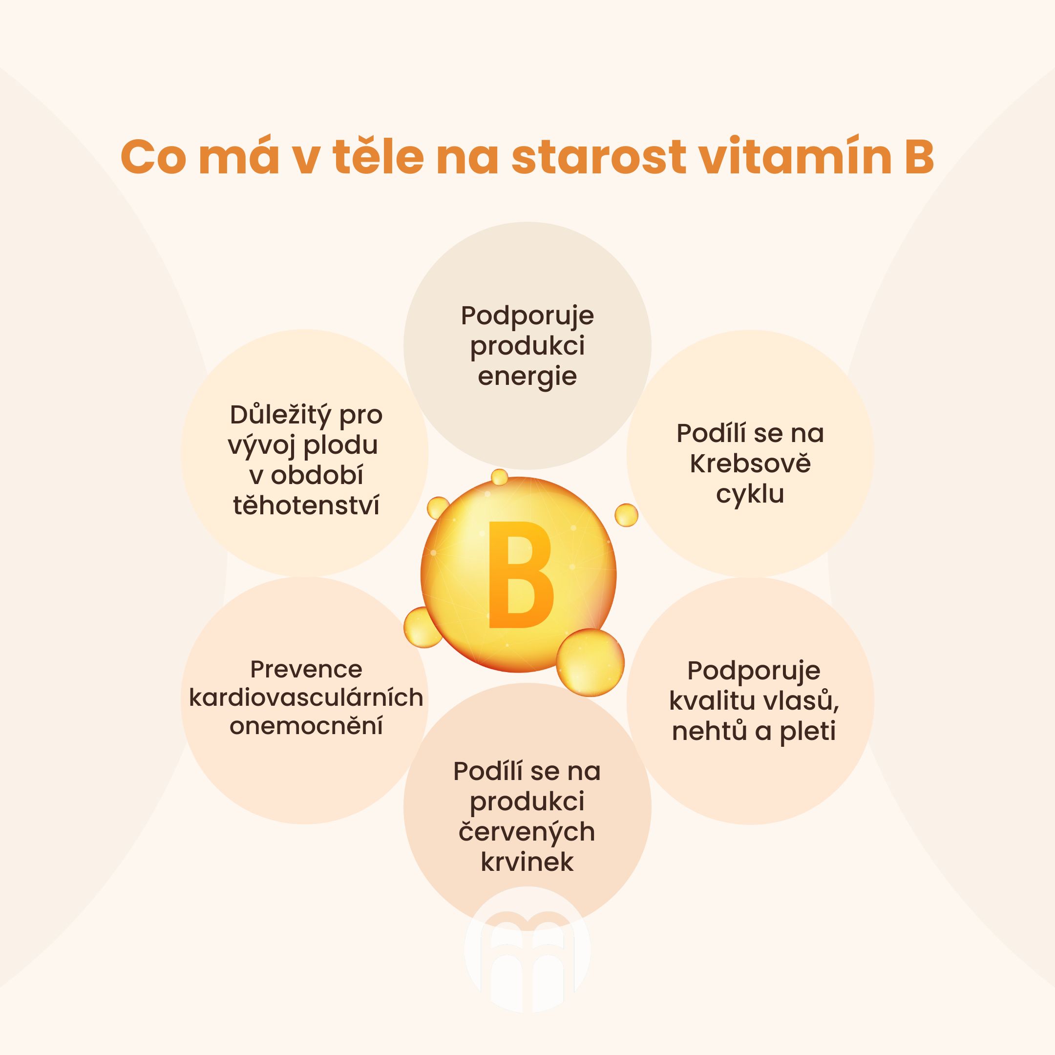 Co má v těle na starost vitamín B